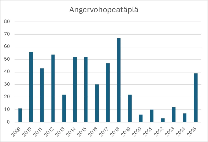 Angervohopeatäplän havainnot