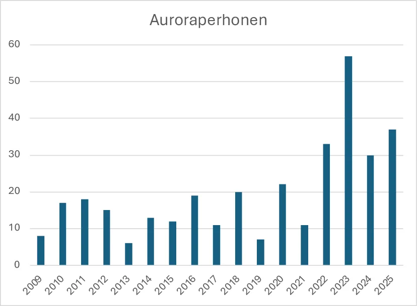 Auroraperhosen havainnot