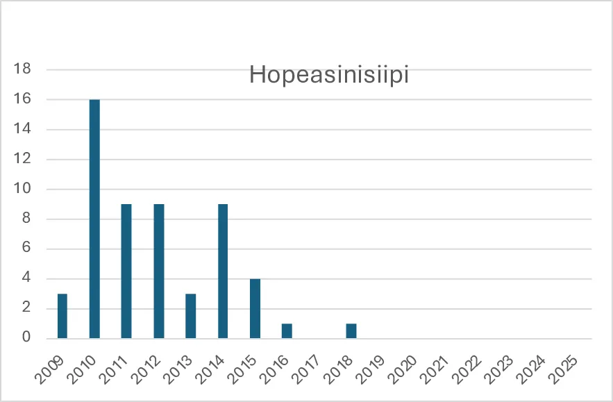 Hopeasinisiiven havainnot