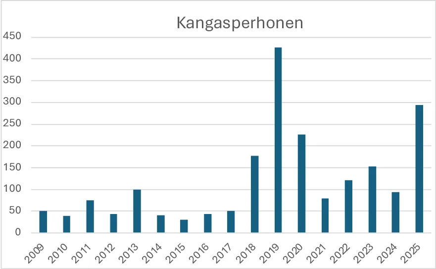 Kangasperhosen havainnot