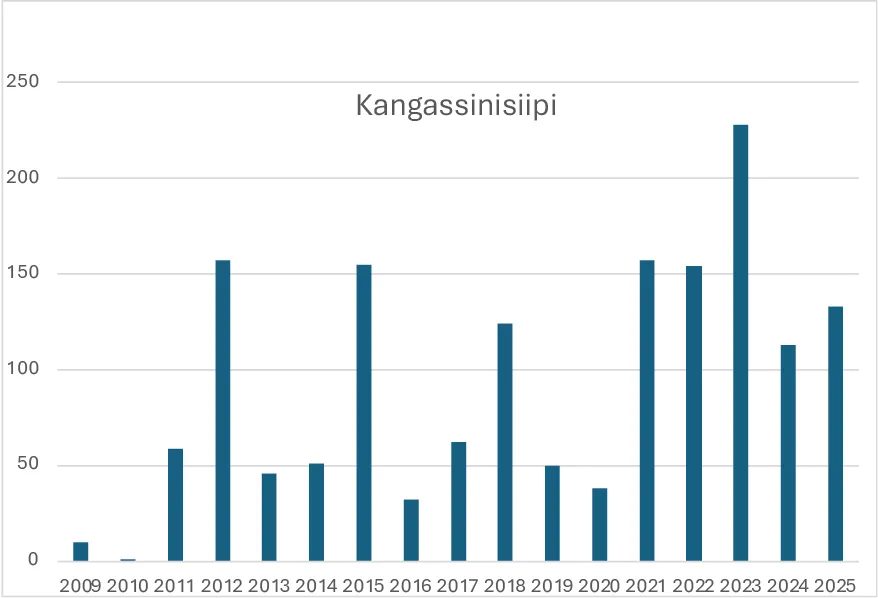 Kangassinisiiven havainnot