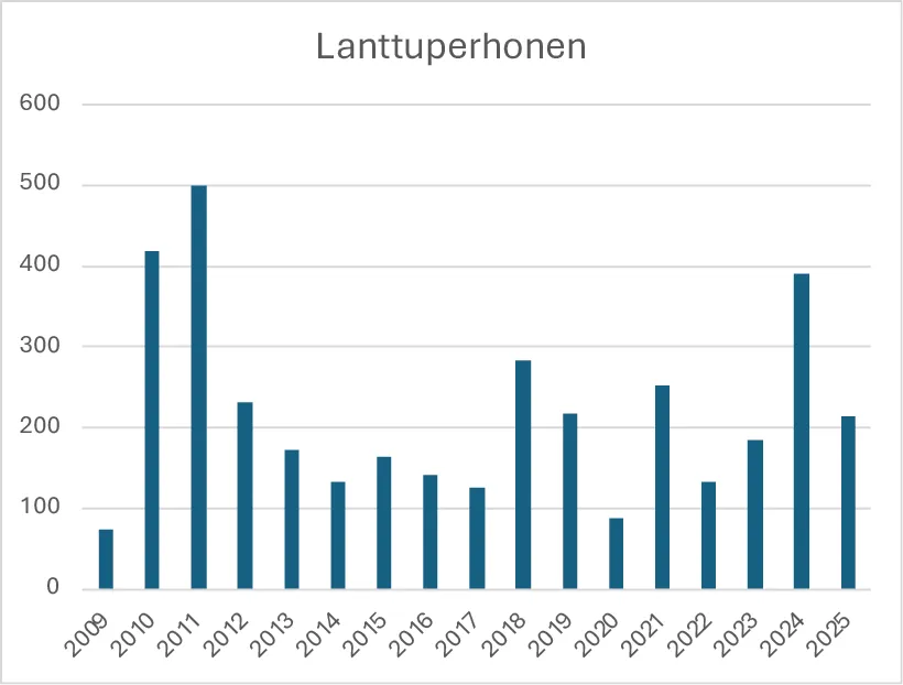 Lanttuperhosen havainnot
