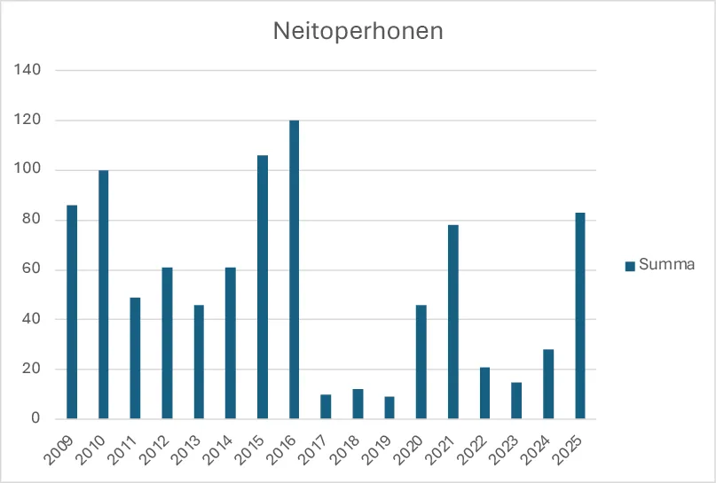 Neitoperhosen havainnot