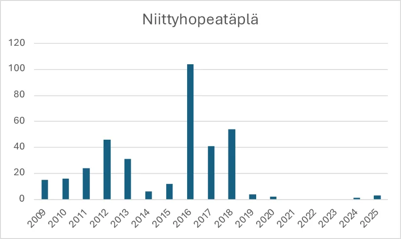 Niittyhopeatäplän havainnot