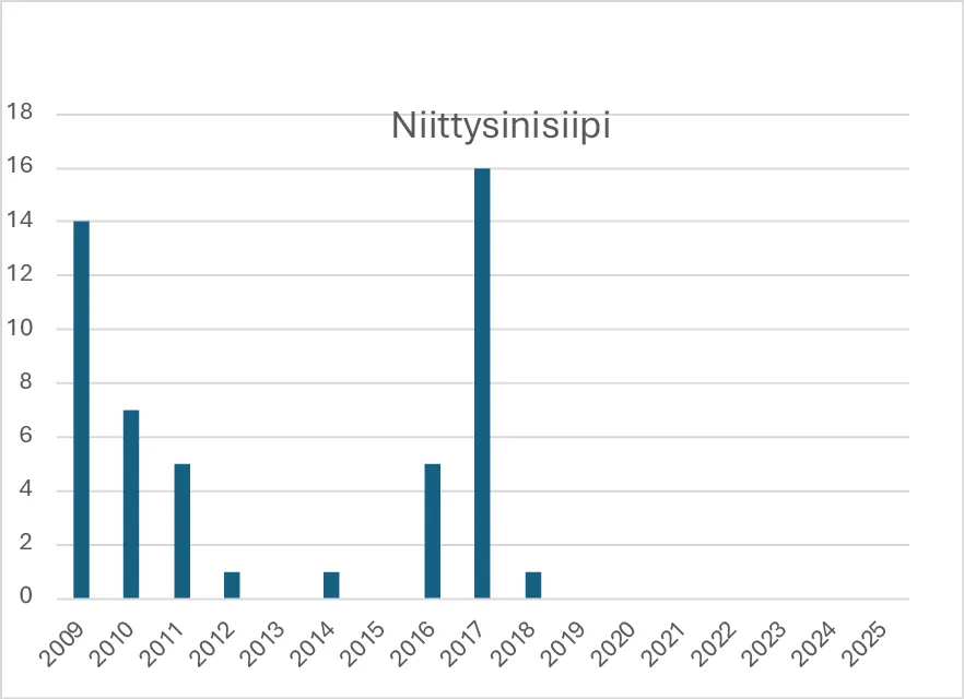 Niittysinisiiven havainnot