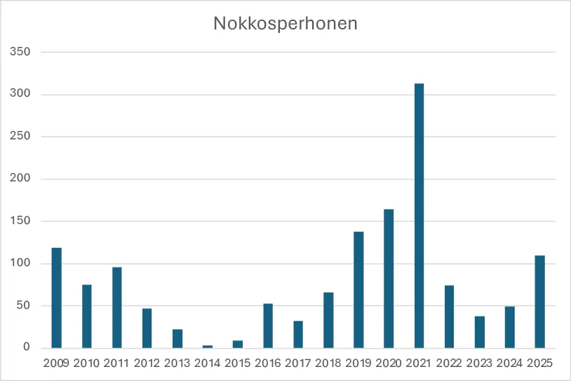 Nokkosperhosen havainnot