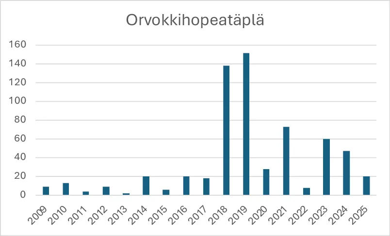 Orvokkihopeatäplän havainnot