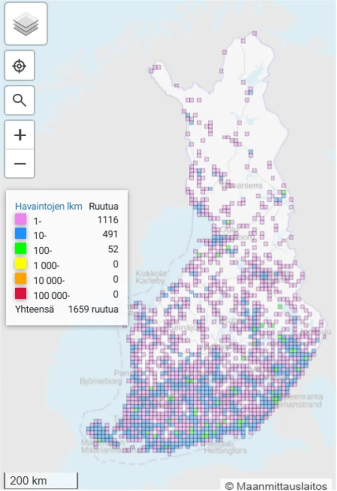 Orvokkihopeatäplän levinneisyys