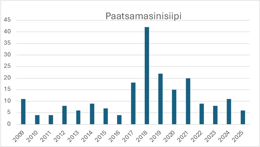 Paatsamasinisiiven havainnot