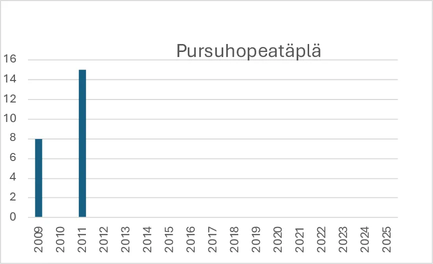 Pursuhopeatäplän havainnot