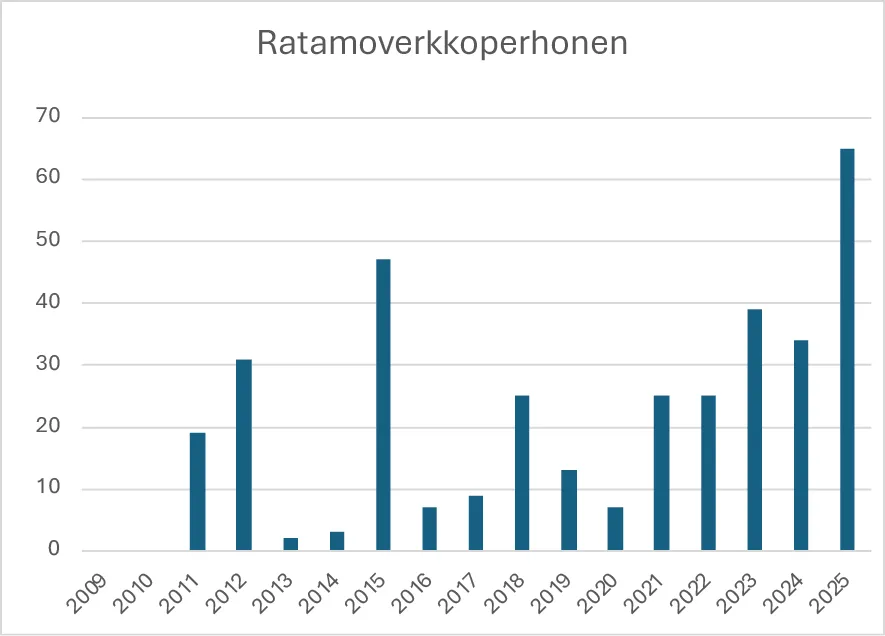 Ratamoverkkoperhosen havainnot