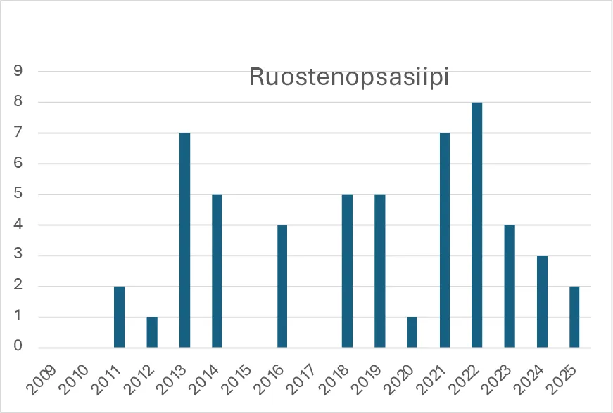 Ruostenopsasiiven havainnot