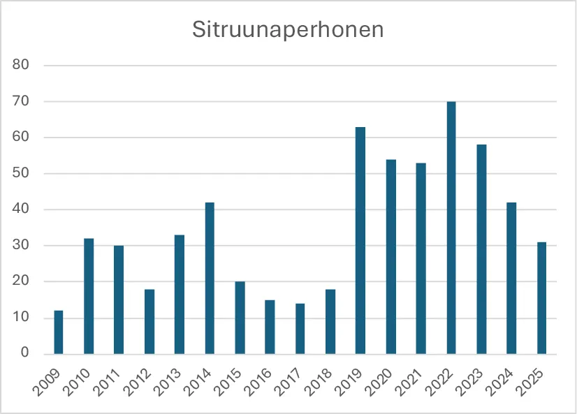Sitruunaperhosen havainnot