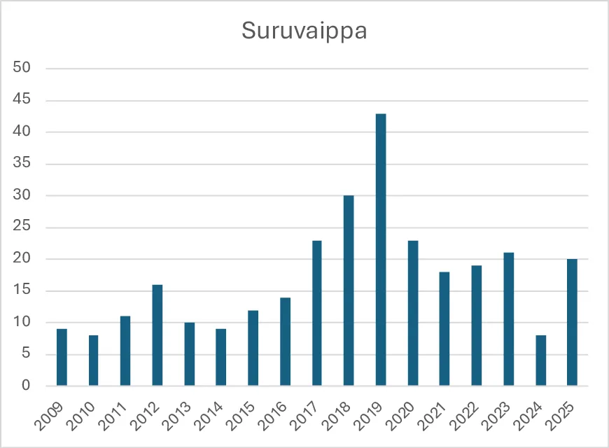 Suruvaipan havainnot