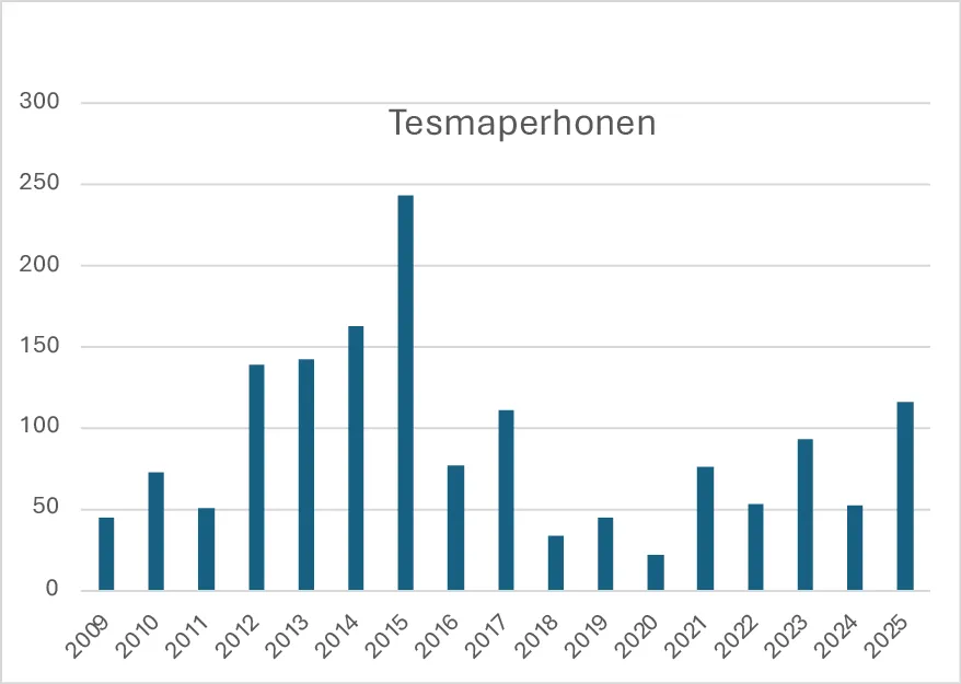 Tesmaperhosen havainnot