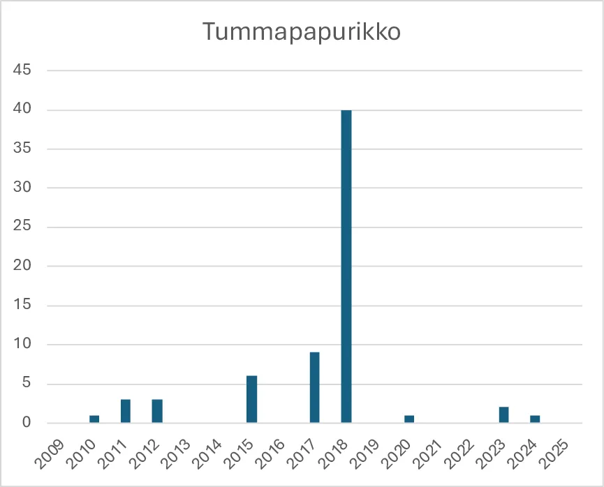 Tummapapurikon havainnot